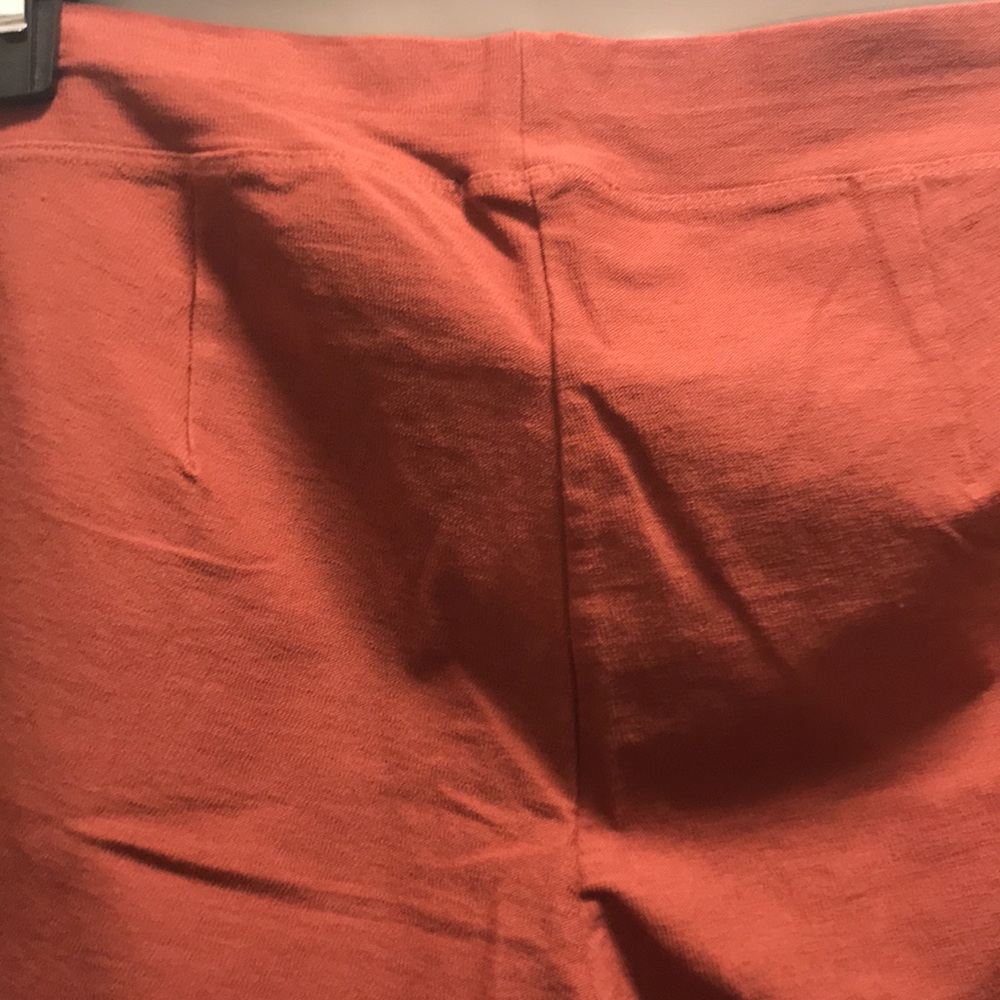 Eileen Fisher Lantera Pants - Picture 4 of 10